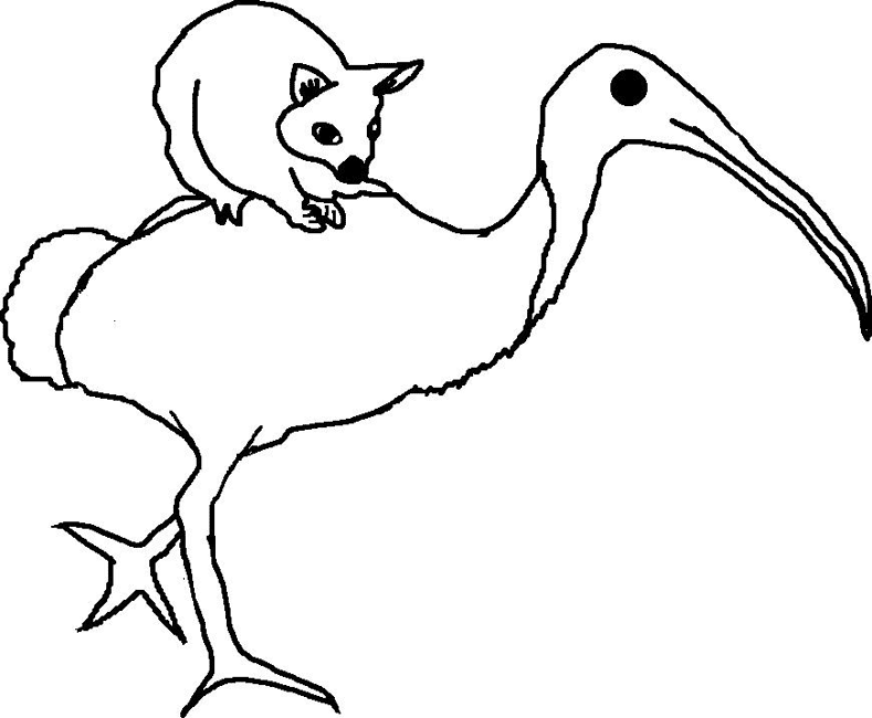 imagini de colorat ibis